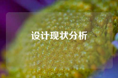 设计现状分析
