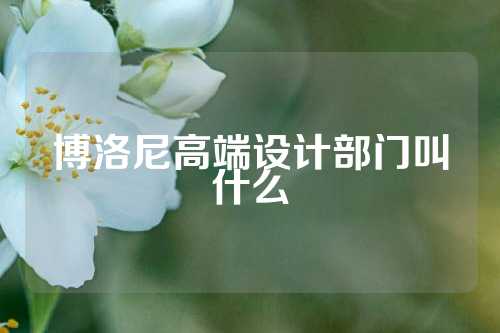 博洛尼高端设计部门叫什么