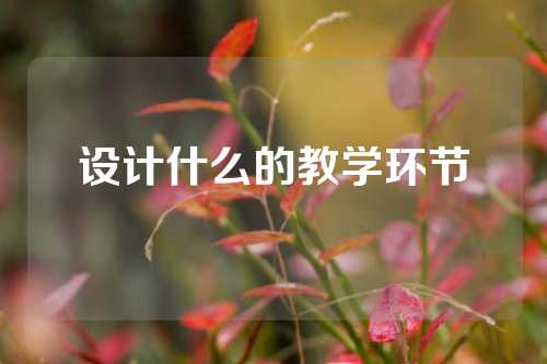 设计什么的教学环节