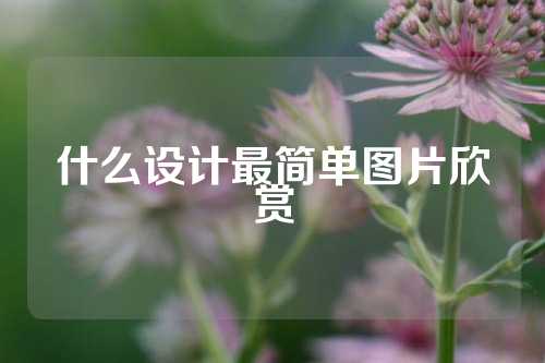什么设计最简单图片欣赏