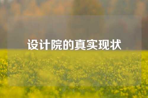设计院的真实现状