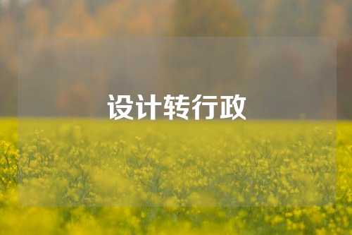 设计转行政