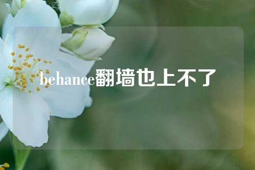 behance翻墙也上不了