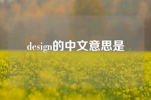 design的中文意思是
