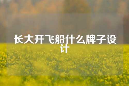 长大开飞船什么牌子设计