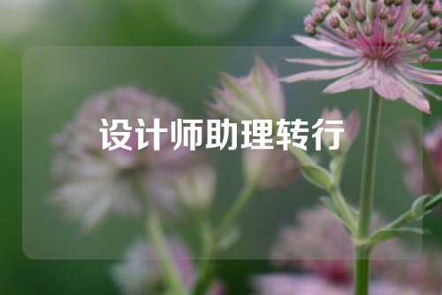 设计师助理转行