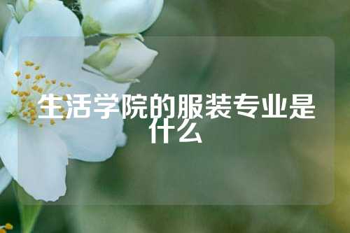 生活学院的服装专业是什么