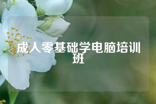 成人零基础学电脑培训班