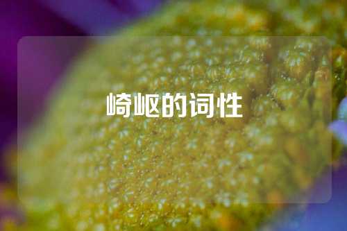 崎岖的词性