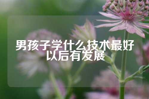 男孩子学什么技术最好以后有发展