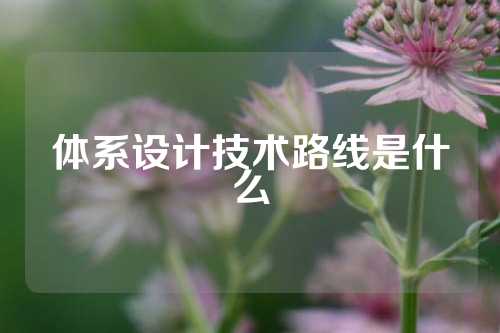 体系设计技术路线是什么