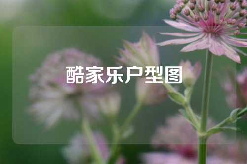 酷家乐户型图
