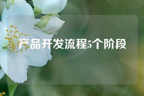 产品开发流程5个阶段