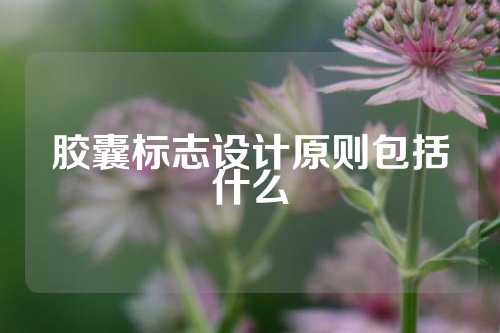胶囊标志设计原则包括什么