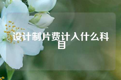 设计制片费计入什么科目