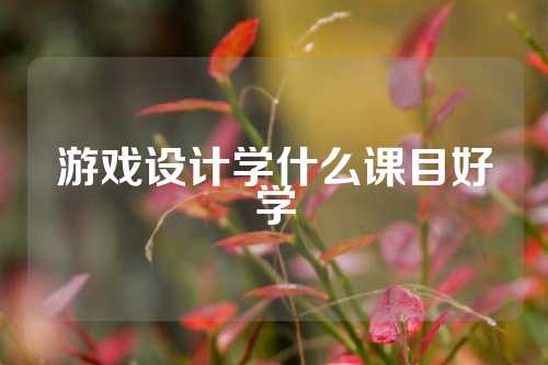 游戏设计学什么课目好学