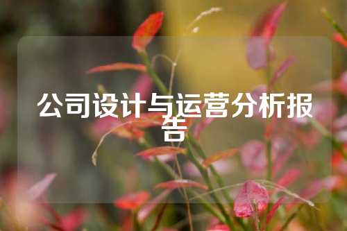 公司设计与运营分析报告