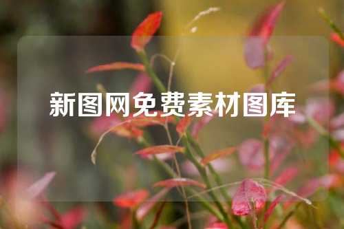 新图网免费素材图库