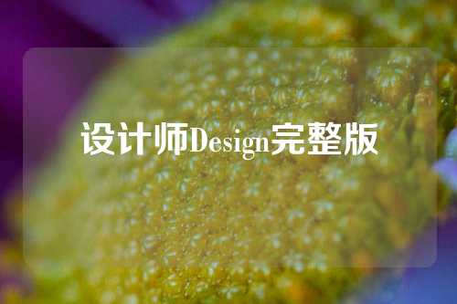 设计师Design完整版