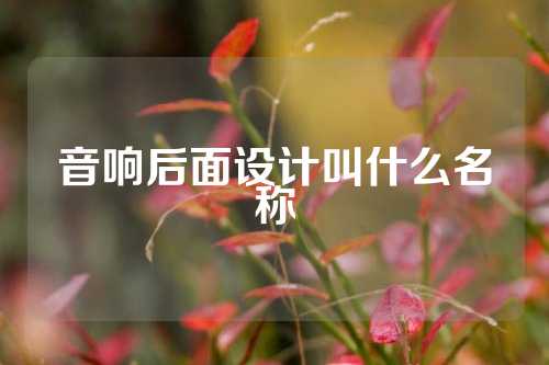 音响后面设计叫什么名称