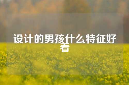设计的男孩什么特征好看