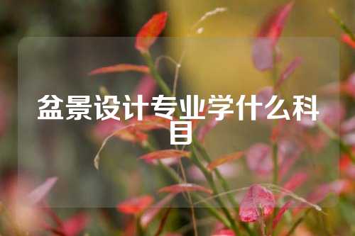 盆景设计专业学什么科目
