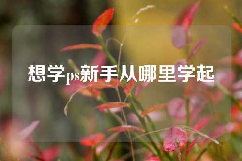 想学ps新手从哪里学起