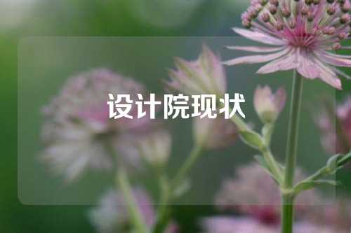 设计院现状