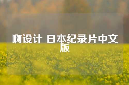 啊设计 日本纪录片中文版