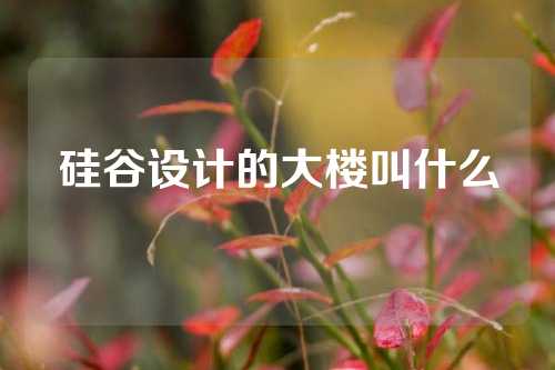 硅谷设计的大楼叫什么