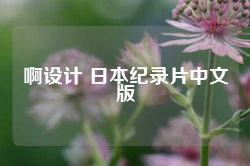 啊设计 日本纪录片中文版