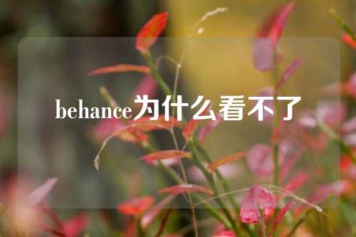 behance为什么看不了