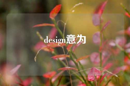 design意为