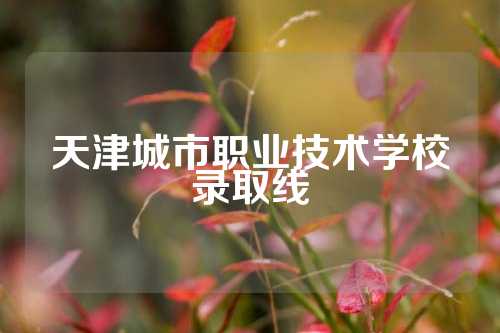 天津城市职业技术学校录取线