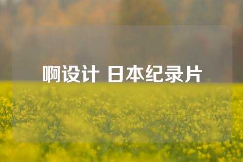 啊设计 日本纪录片