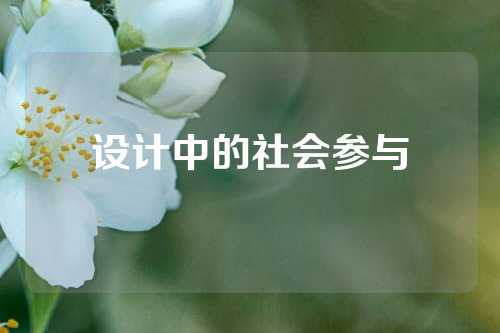 设计中的社会参与