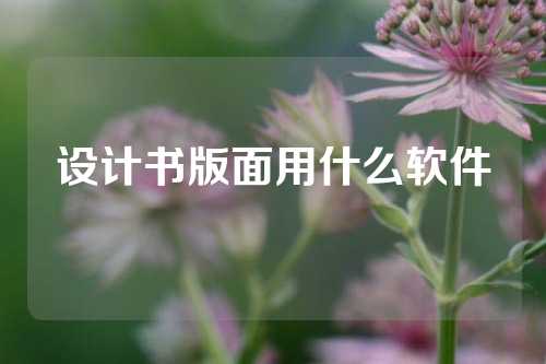 设计书版面用什么软件