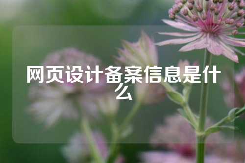 网页设计备案信息是什么
