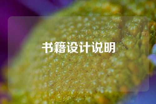 书籍设计说明