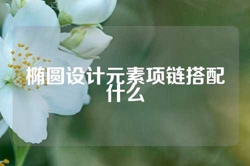 椭圆设计元素项链搭配什么