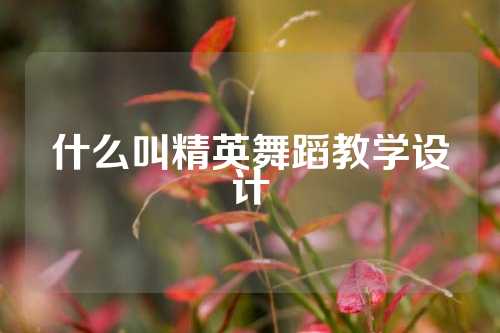 什么叫精英舞蹈教学设计
