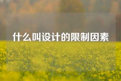 什么叫设计的限制因素