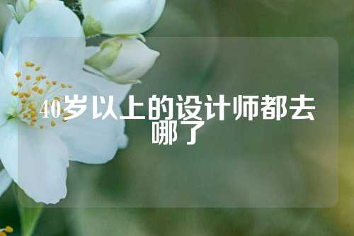 40岁以上的设计师都去哪了