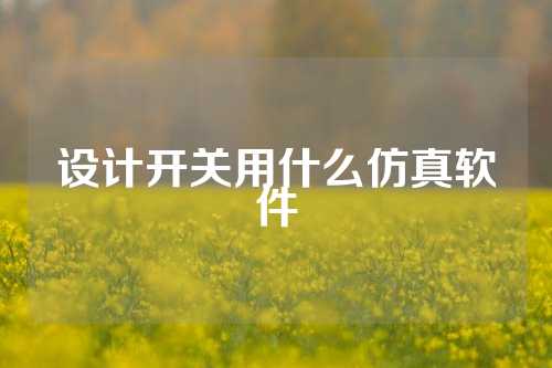 设计开关用什么仿真软件