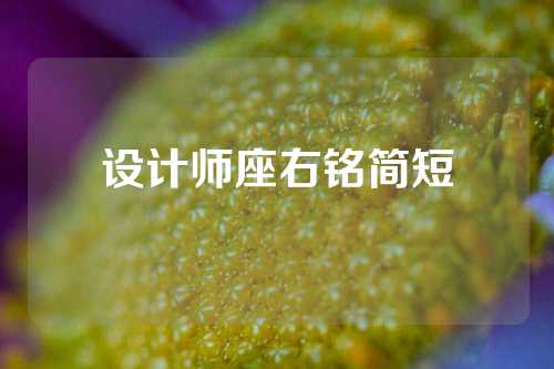 设计师座右铭简短