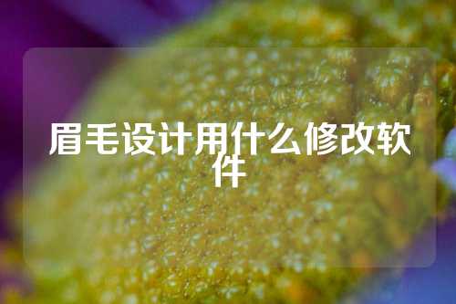 眉毛设计用什么修改软件