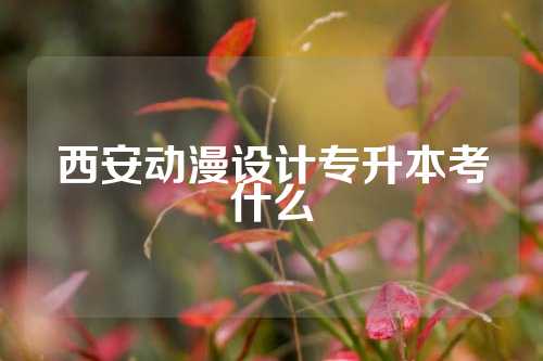 西安动漫设计专升本考什么