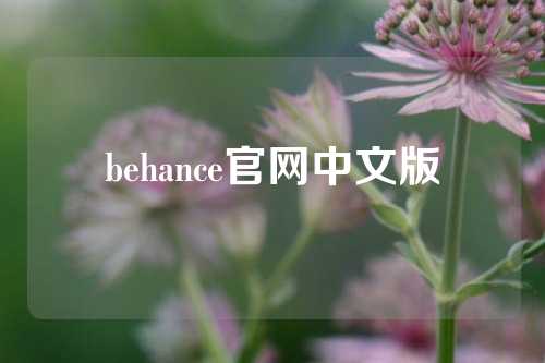 behance官网中文版