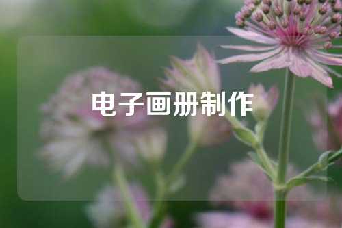 电子画册制作