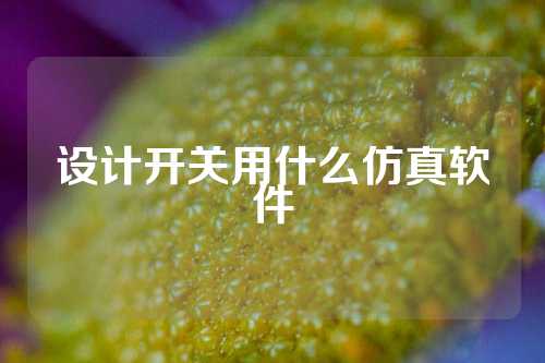 设计开关用什么仿真软件
